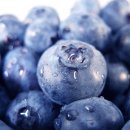 밝은농장 이미지