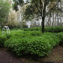 신례동로 이미지