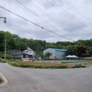 최잠,최호 정려 이미지