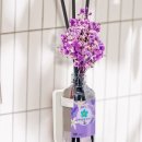 달의향기
