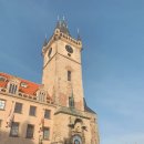 백조민박 이미지