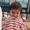 194 | 나만 알고싶은 용인 숨은 명소 ㅣ 자연휴양림근처카페 '카페194' 아기랑 물놀이 하고 옴 솔직 후기
