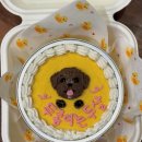 멍달구리 이미지