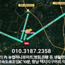 아우룸 이미지