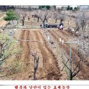 효세농장 이미지