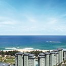 라카이샌드파인 이미지