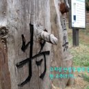 Re:카메라 비교(라이카 vs 루믹스) 이미지