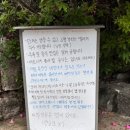 [남해여행] 허영만 백반기행 맛집 &#39;재두식당&#39; 멸치쌈밥 솔직후기(내돈내산)