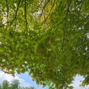 한글교실 오후초급반 이미지