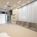 글로리퍼피 이미지