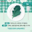 대원푸드 이미지