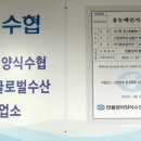 더기운센풍천장어