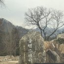 스테이 모인 | 추천!] 가평 가볼만한곳! 가평글램 스테이 후기! 숲·별·감성 다 모인 힐링 여행가평 글램핑·가평...