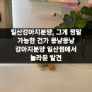 몽냥몽냥 강아지분양 일산점 | 일산강아지분양, 그게 정말 가능한 건가 몽냥몽냥 강아지분양 일산점에서 놀라운 발견