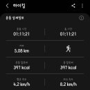 목련집 이미지