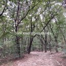 산복약수터 네이버블로그
