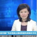 무발국제여행사유한책임공사영업소
