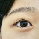 라비문 네이버블로그