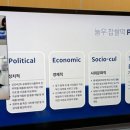 허니비해피 이미지