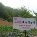 사랑농장 2 이미지