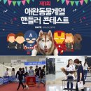 한국동물실용전문학교 이미지