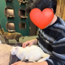 (주)애니멀공화국 이미지