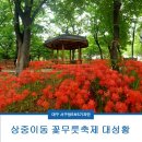 서대구완충녹지(7BL) | 상중이동 꽃무릇축제 대성황!
