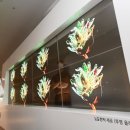 디자인숲미디어 이미지