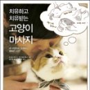 착한 고양이 이미지