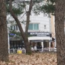 청명로 | 연말 분위기 제대로! 영통 맛집 썬프란시스코마켓 솔직 후기