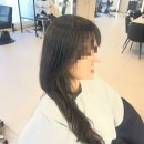 뿌리세상 | [문정미용실| 준오헤어 문정역 테라타워점]뿌리볼륨펌, 뿌리매직, 클리닉 후기