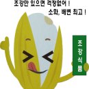 장세살연구소