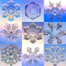 육각형(Hexagon)과 벌(Bee) 이미지