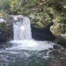 8월 정기산행 이미지