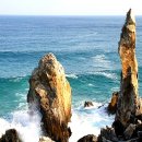 동해바다 이미지