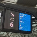 참치랑연어랑보물섬 | 당일치기 부산여행🚅 (센텀호텔 웨딩 하객, 차선책, 추억보물섬, 이재모피자 본점)