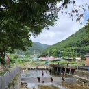 남해 36.5 이미지