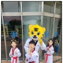 MNT 태권도 스포츠센터 이미지
