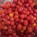청은농장 | 보리수 맛집, 우리 집 보리수청 만드는 날