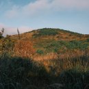 배내자연농원슈퍼 이미지