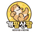 개팔상팔 이미지