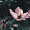 코코노래연습장 | 대구 달서구 코코노래연습장, 연락처, 후기, 위치