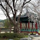 장밭골집 이미지