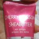 대화씨앤에프주