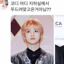 보브AK