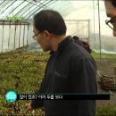 도원 농장 이미지