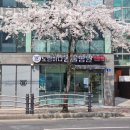 도림하나동물병원 | 영등포구 대림동 동물병원 도림하나 동물병원 위치 오는길 후기