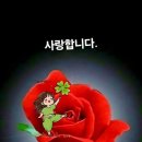 행복한 마음 9가지 다짐 이미지