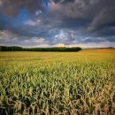 미란축산 이미지