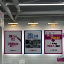 상지안경 네이버블로그